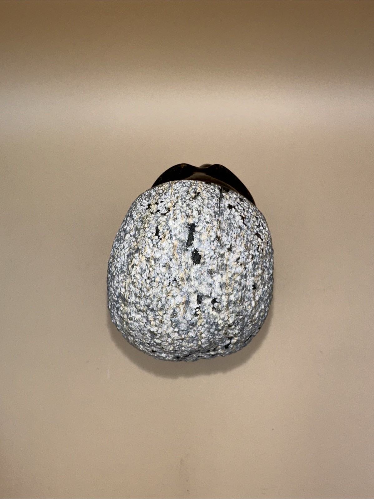 HAND-CARVED SOLID STONE AFRICAN SHONA HEAD BUST COUPLE FINELY DETAILED!