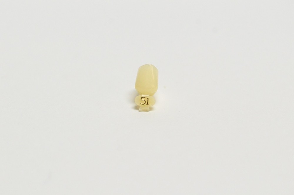 DENTAL POLYCARBONATE TEMPORARY CROWNS #51 SECOND (2ND) BICUSPIDS LARGE 5/PACK