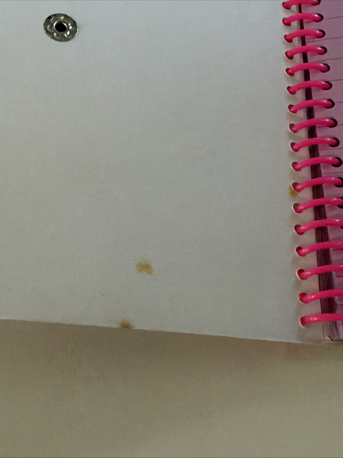 Lisa Frank Dancing 90’s Dolphins Spiral Button Snap Notebook