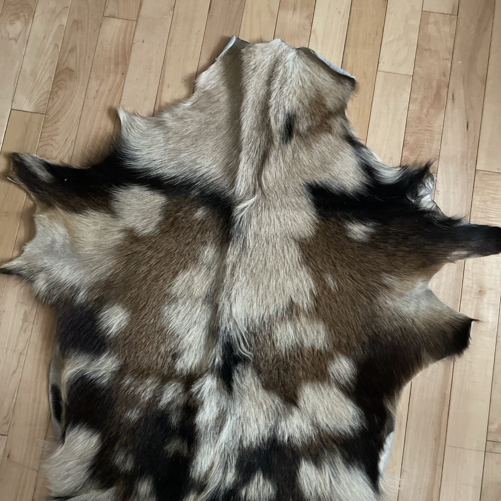 Real Goat Hide Skin Rug Multicolor 38” by 31”