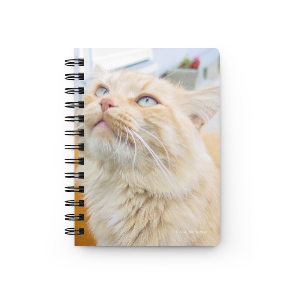 Orange Tabby Cat Spiral Bound Journal