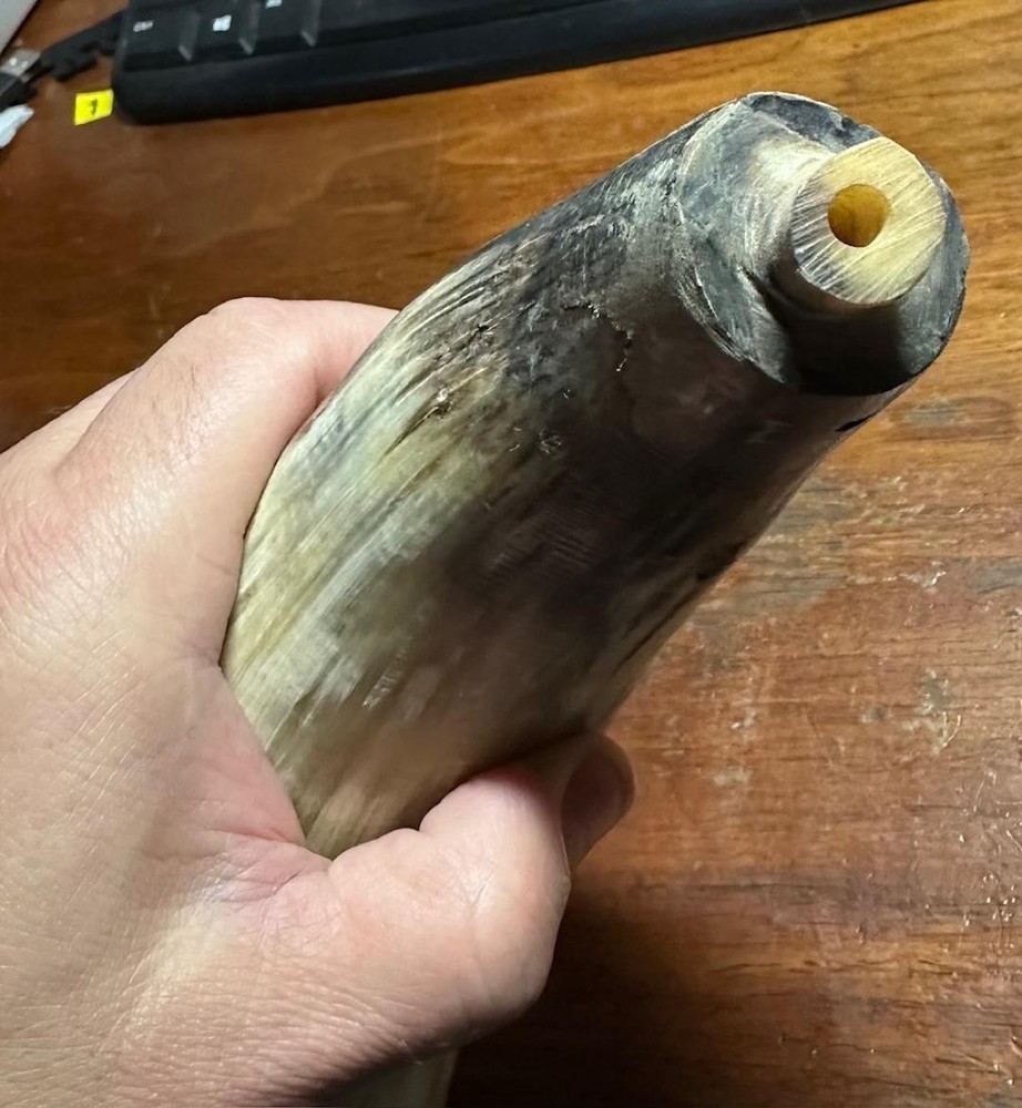 Vintage Powder Bull Horn