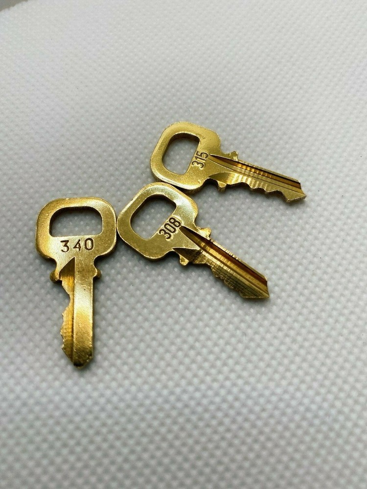 Louis Vuitton Padlock Key Replacement LV Lock Keys Accessories Authentic