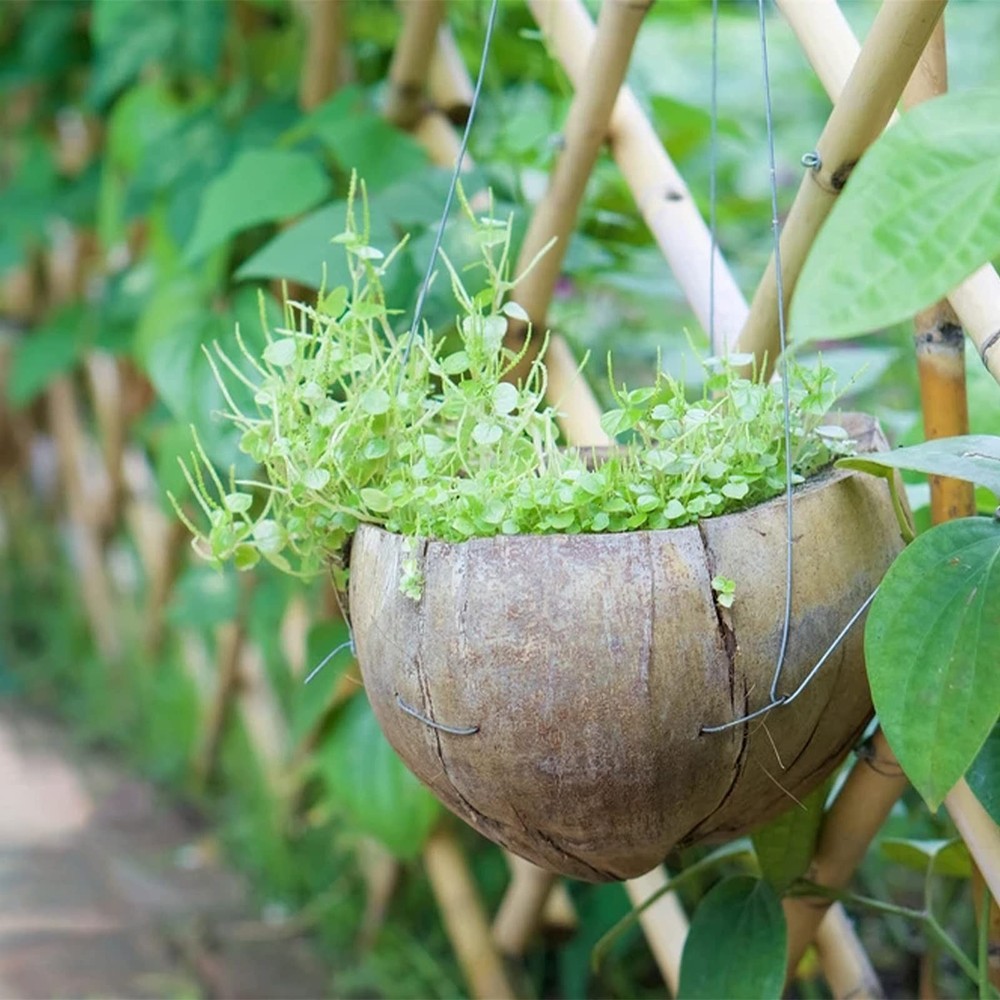 20 Gauge Hobby Wire,98ft Galvanized Solid Wire,Multi-Purpose Steel Wire...