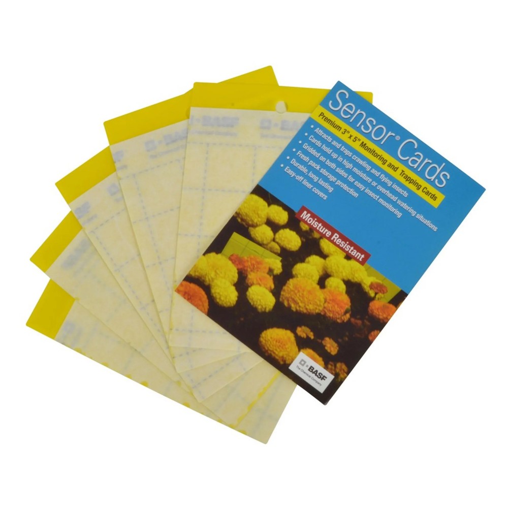 Yellow Sticky Trap | Sensor Cards 50/Pack (15/Cs)