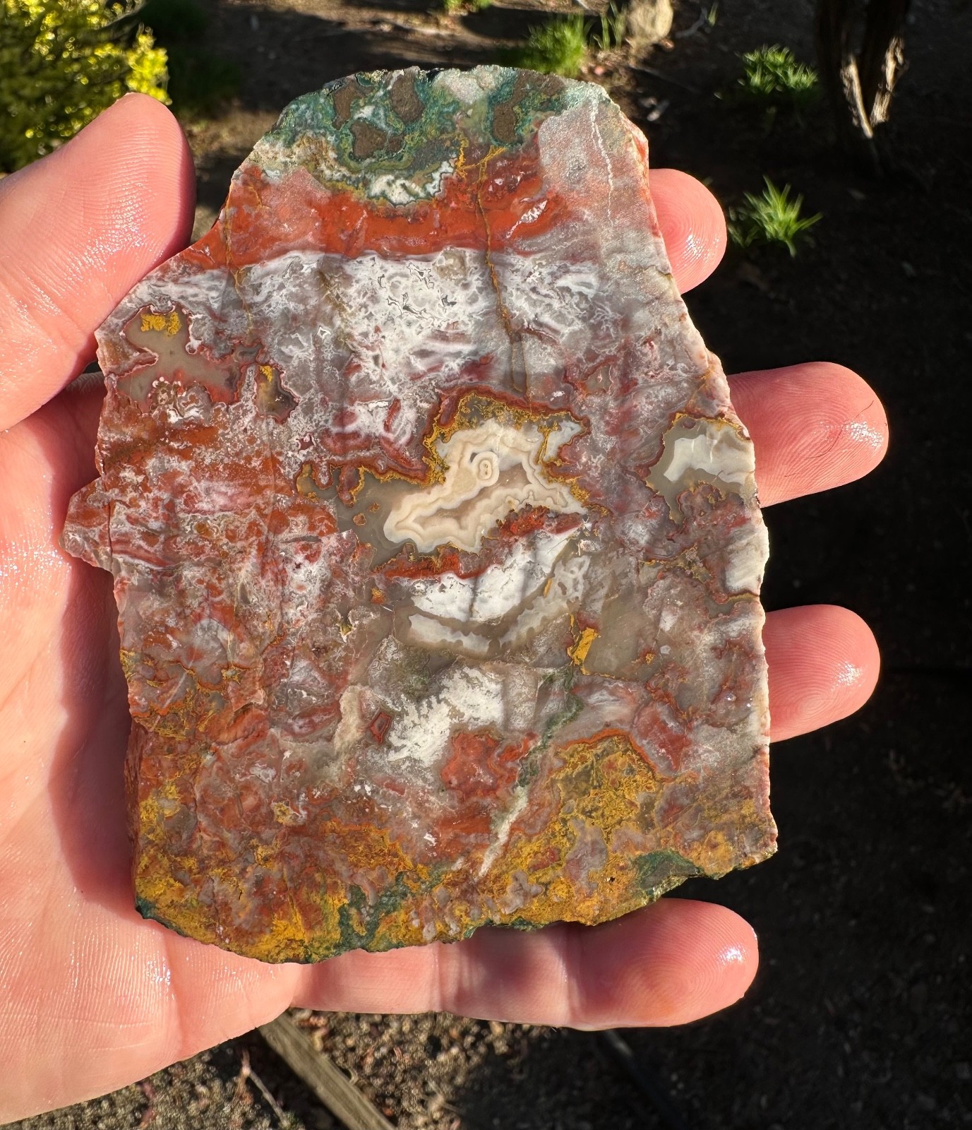 Moroccan Apple Valley Agate Slab, 3x4", Cabbing/Lapidary