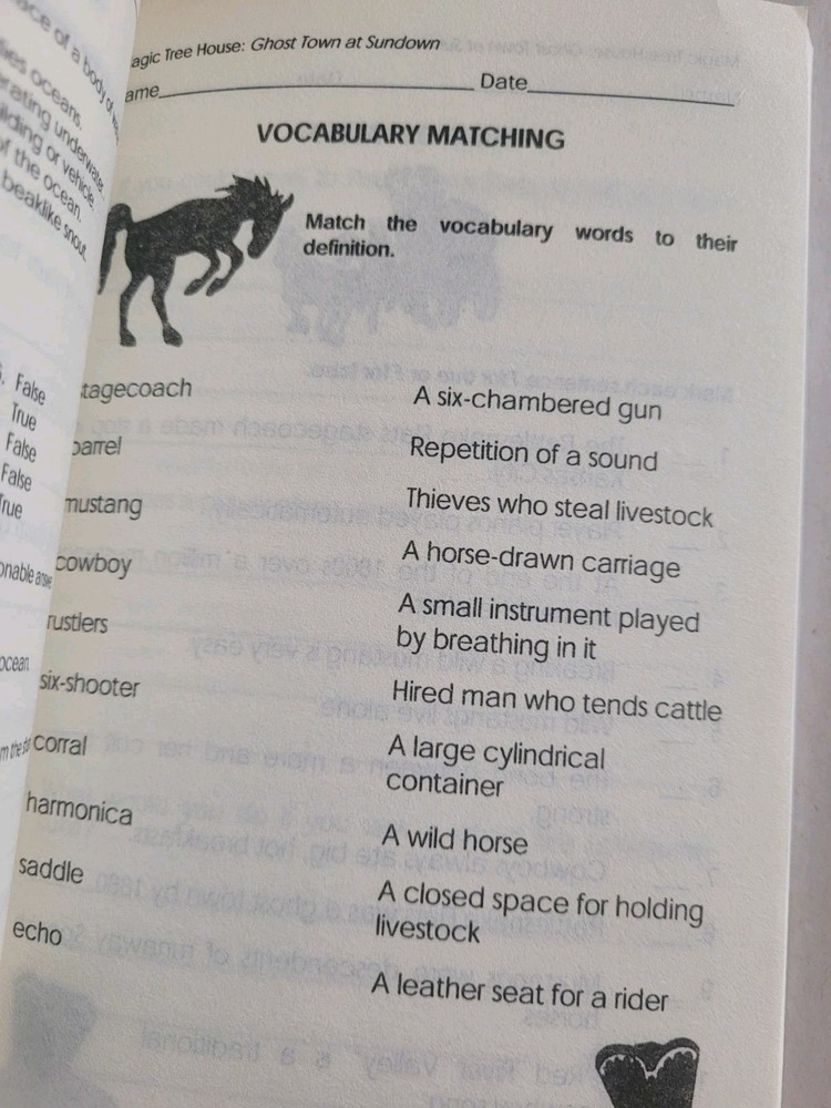 Magic Tree House Book Set 1-31 With Added 1-28 Activities-Study Book