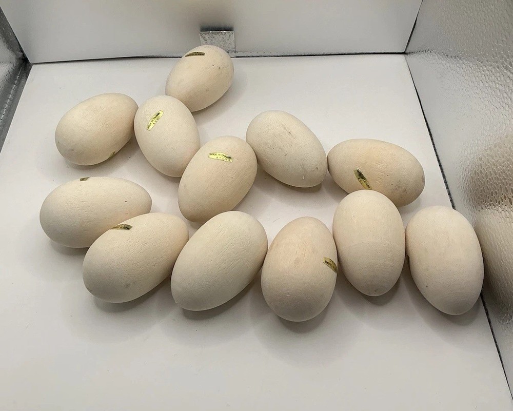 Dozen Eggs For Crafts Easter Vintage Crafting Or For Baskets