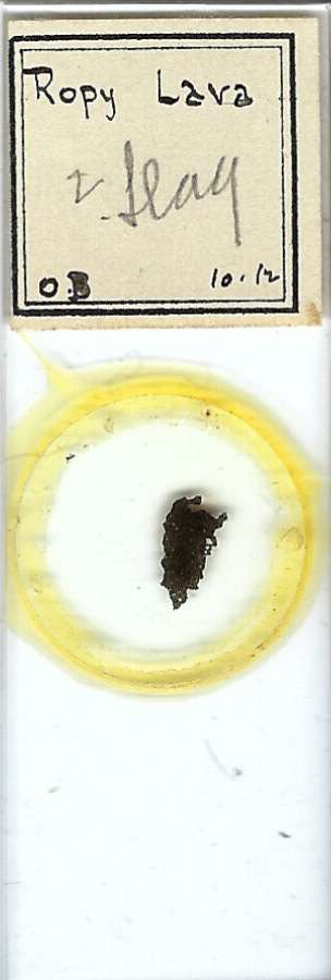 Ropy Lava Petrographic Microscope Slide