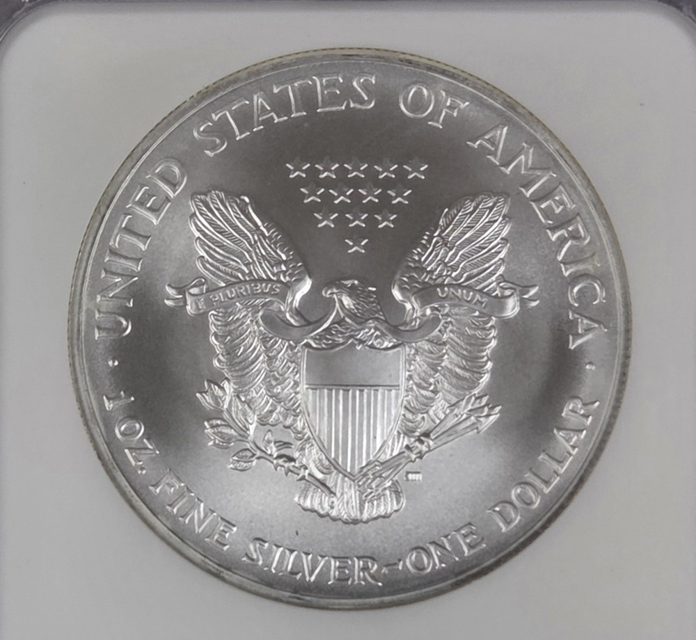 2004 Eagle S$1 MS 69 NGC Brown Label
