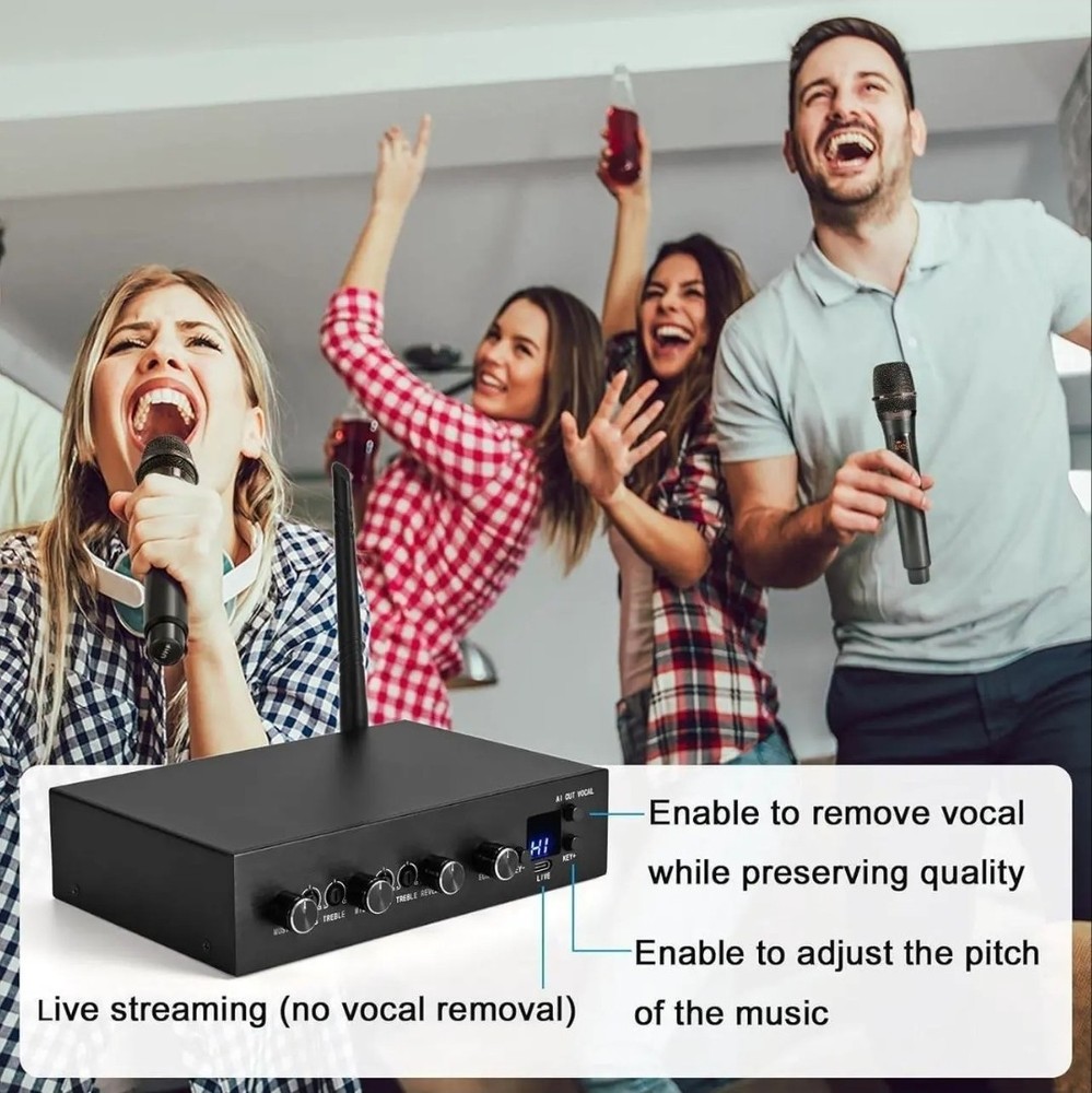 AIK089 Karaoke Wireless Microphone Machine