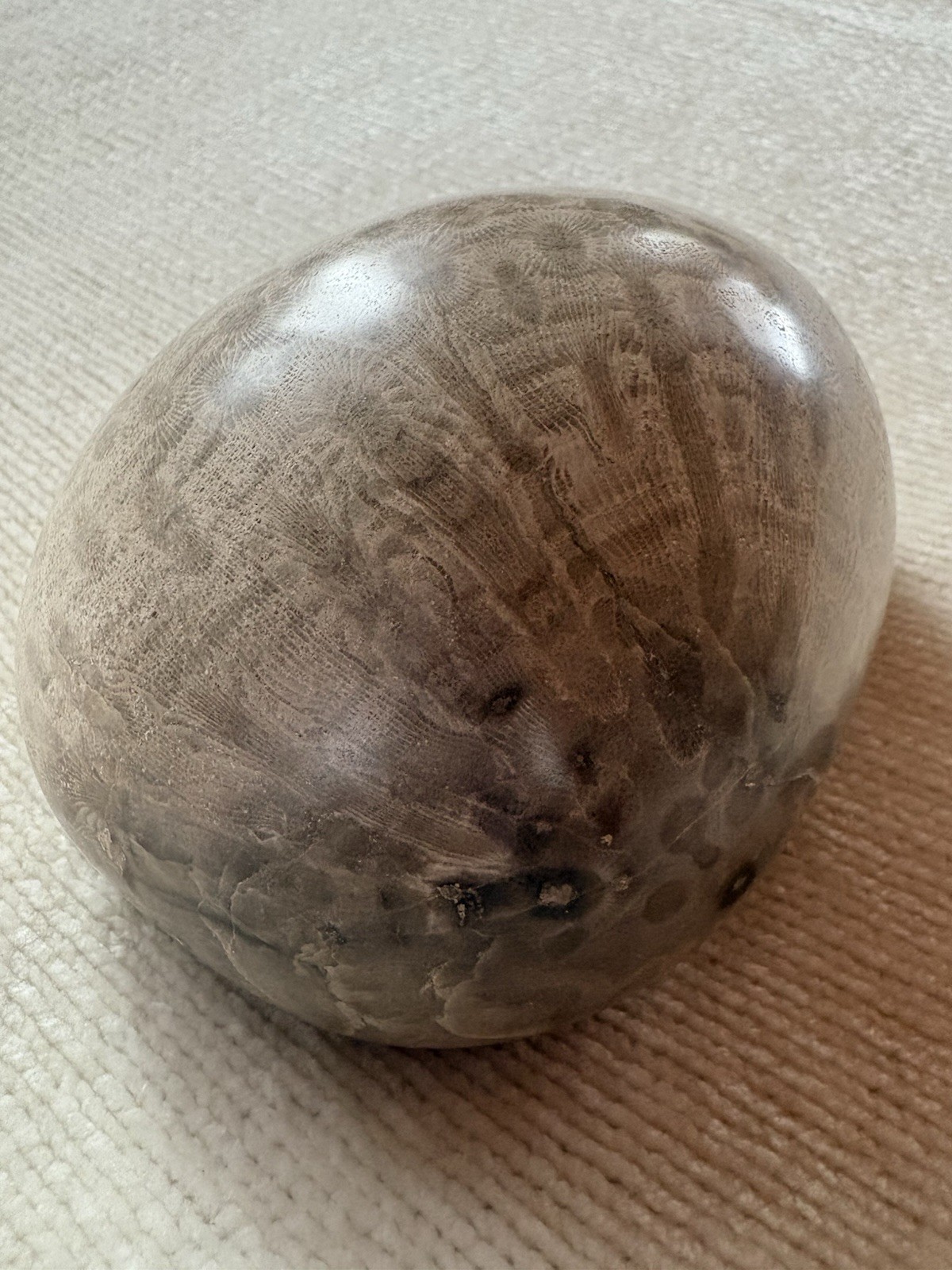 Polished Petoskey Stone