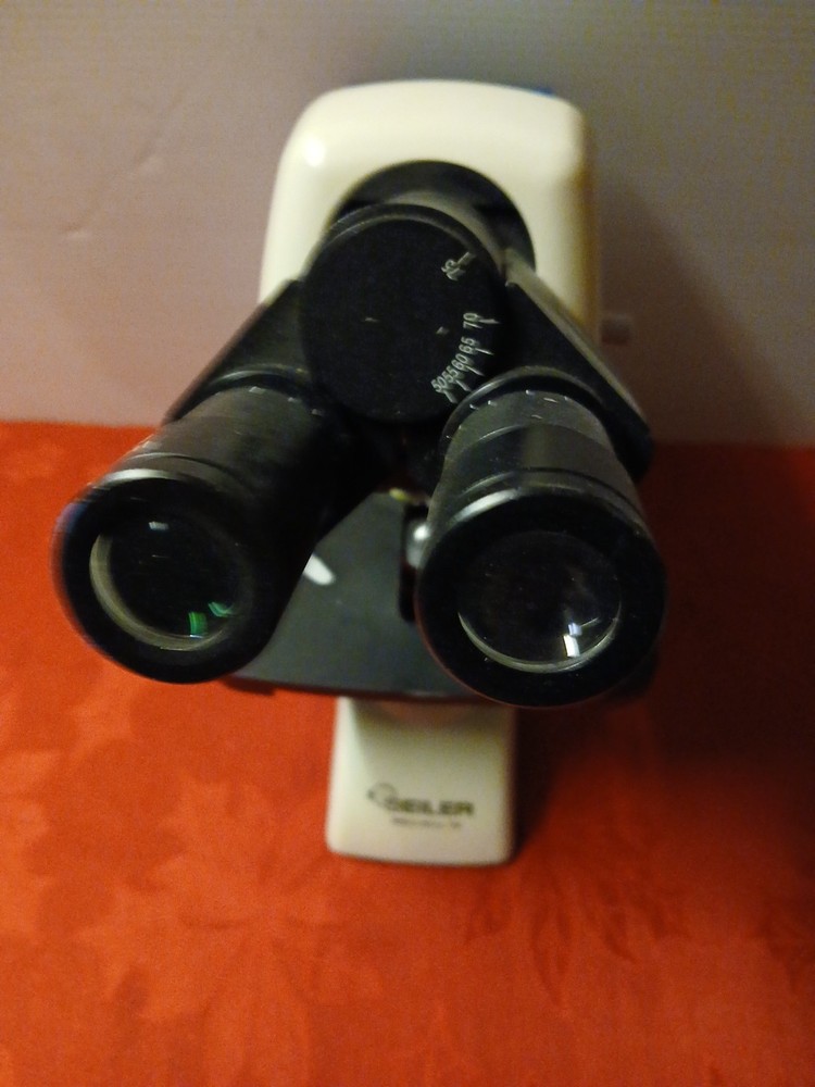 Seiler Microlux IV LED Compound Microscope With 5- Objectives