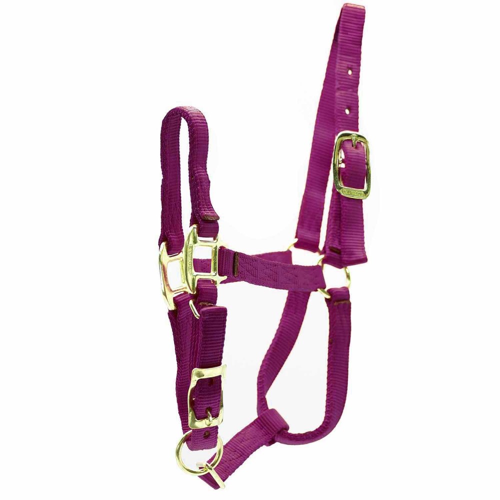 Adj Large Horse Halter Wine