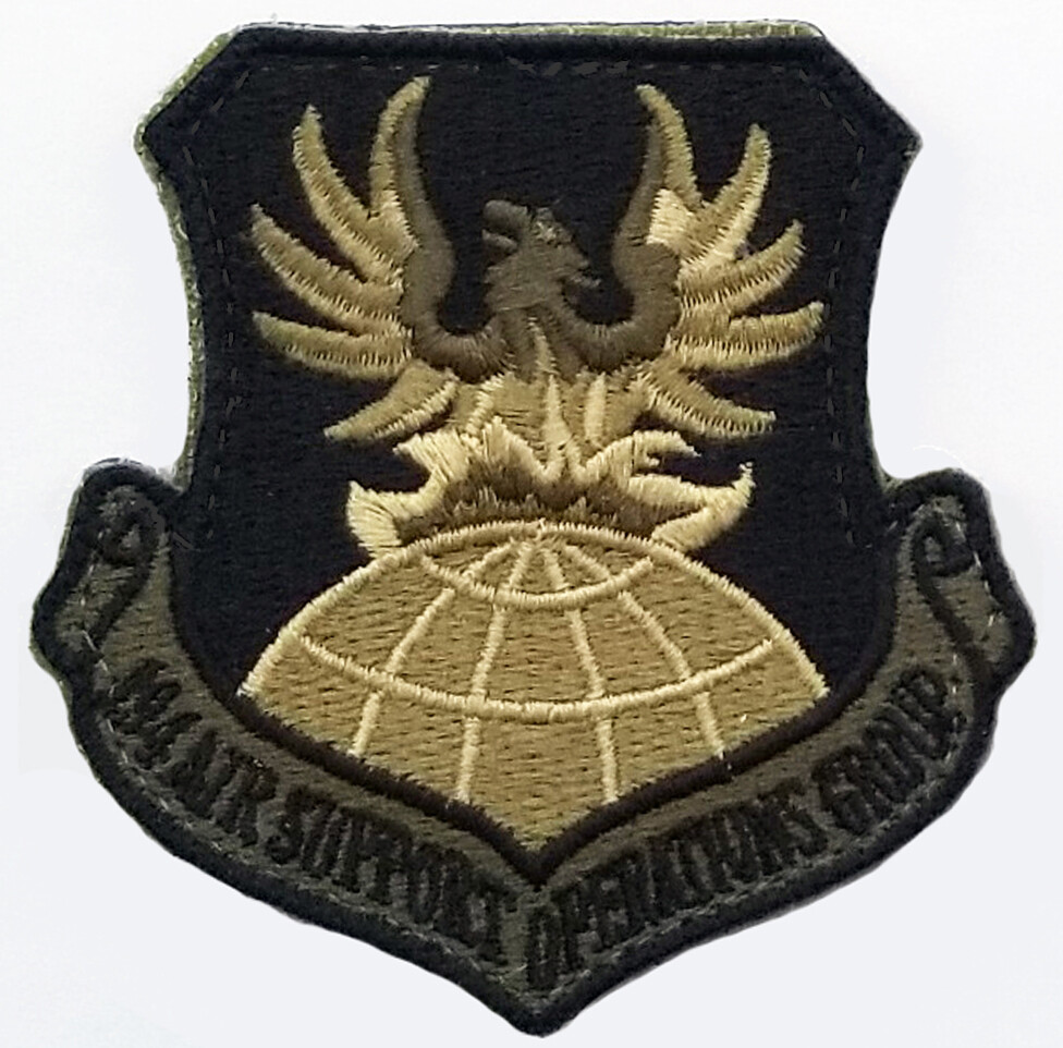 US Air Force 194th Air Support Operations Group Subdued Military Hook Back Patch