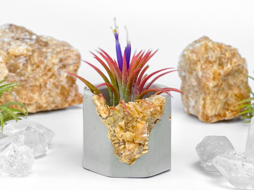 Raw Orange Calcite Crystal Planter Geode Planter Mini cute