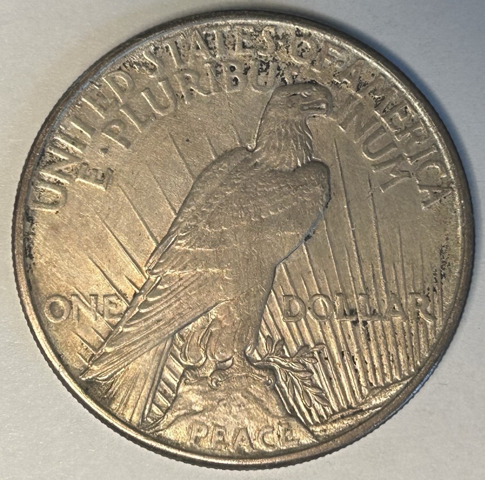 1921 Peace Silver $1 Dollar Coin Cleaned