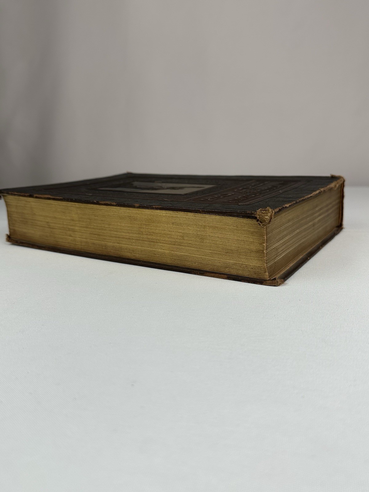 Livingston County Illinois Pontiac Fairbury Streator Cornell IL WWI History Book