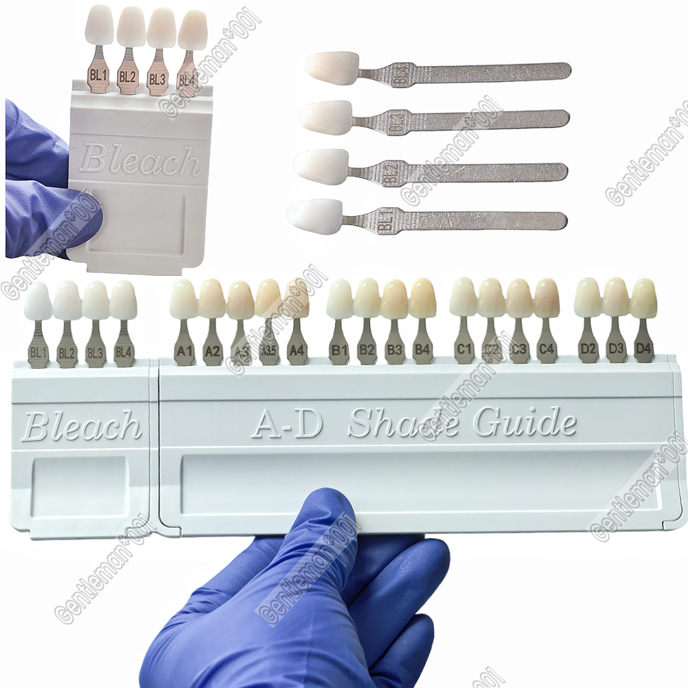 Dental Bleached A-D Shade Guide Bleached Chart Teeth Whitening Based Vita
