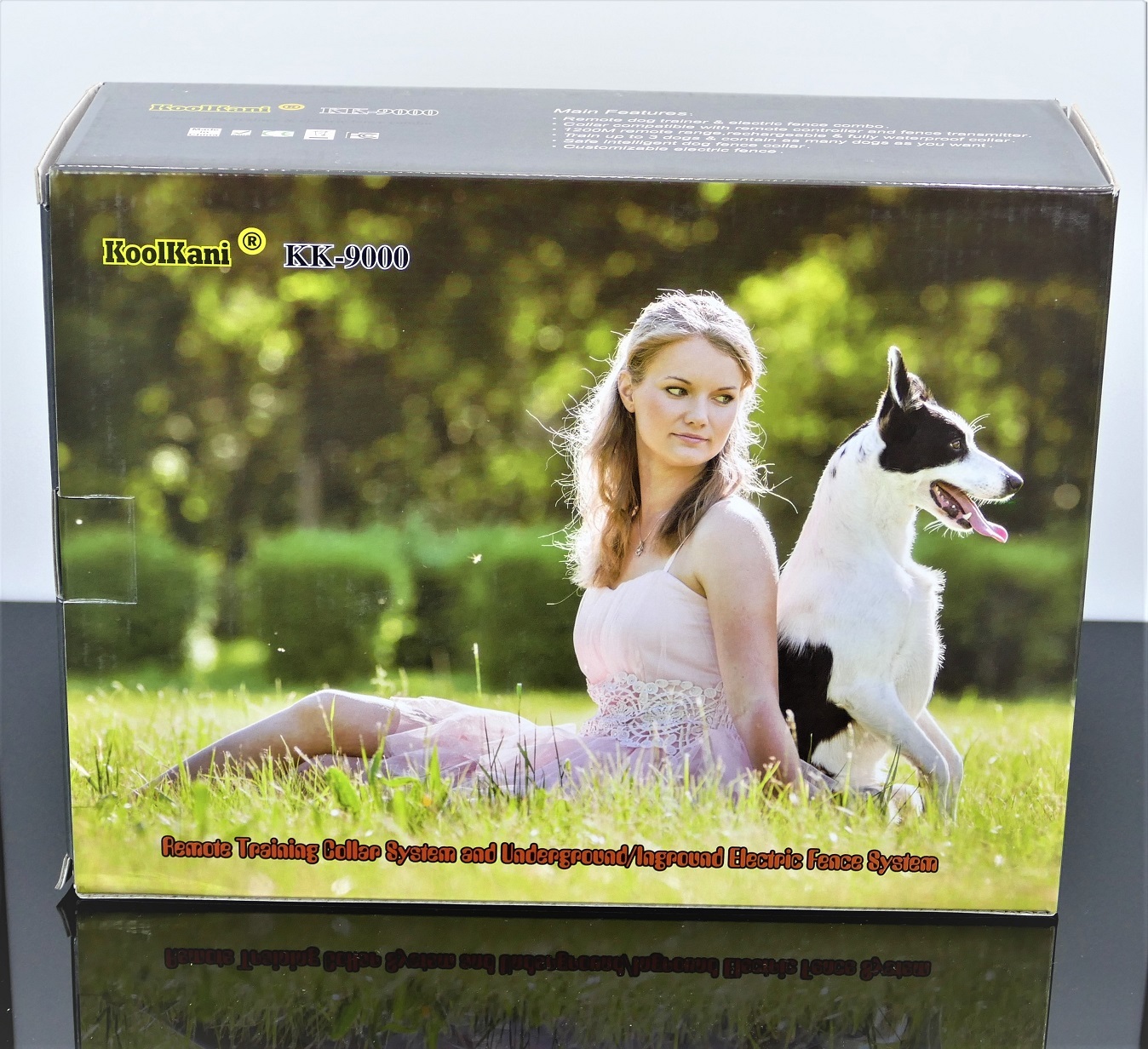 Remote Dog Training Collar & In-ground Electronic Containment Fence System Combo