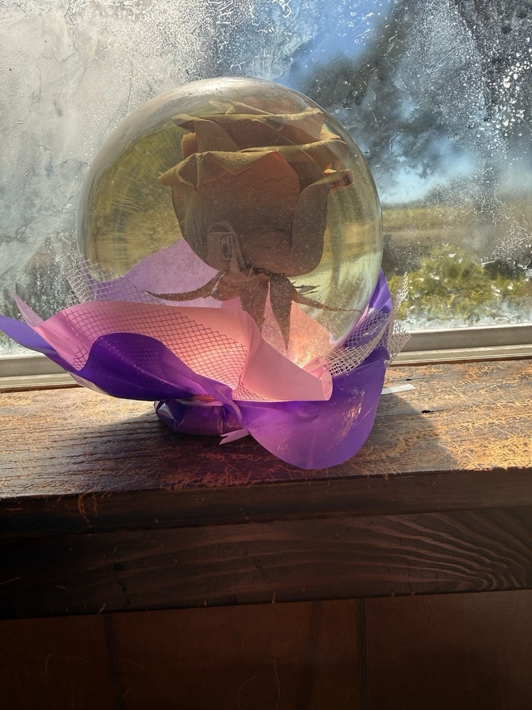 Rose In A Globe