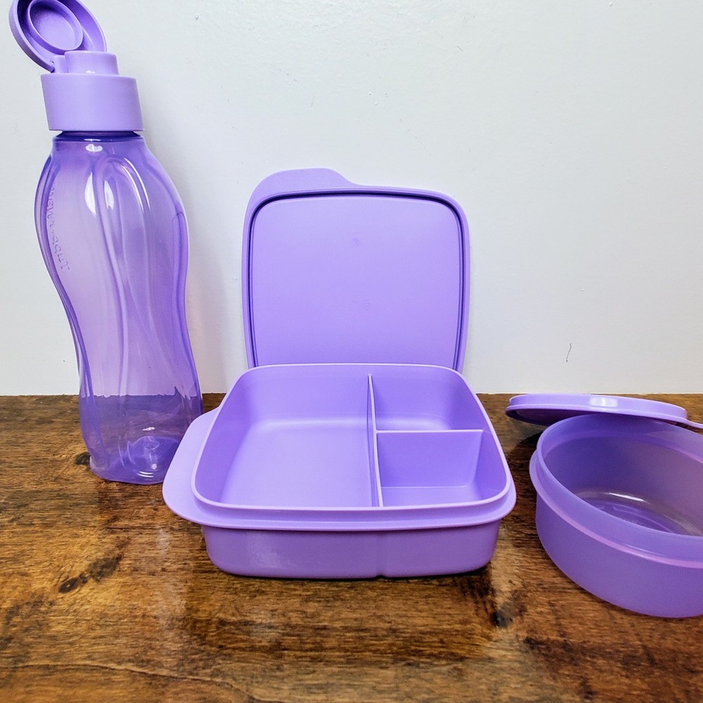 Eco-Friendly Tupperware Lunch Set Sandwich Box, Snack Container