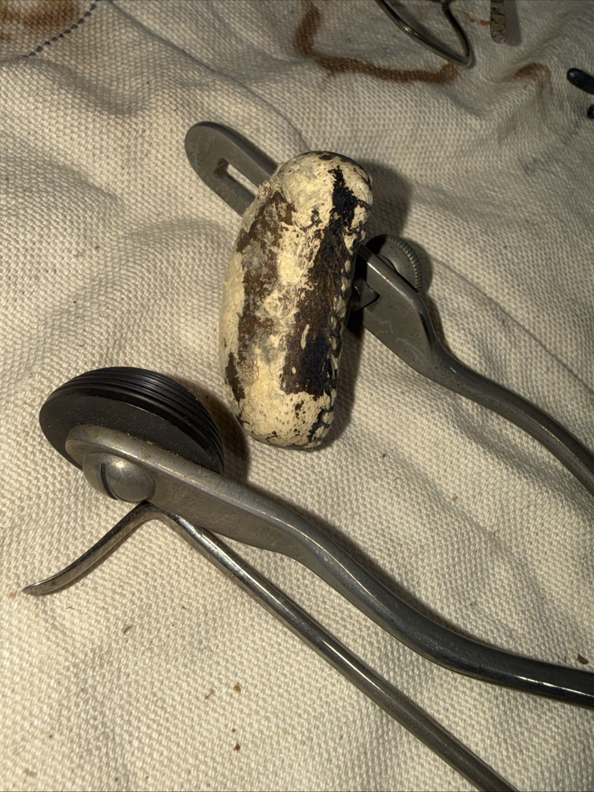 1890s LENZ & SONS Antique Surgical Instrument Ear Nose Throat Medical Tool Lot