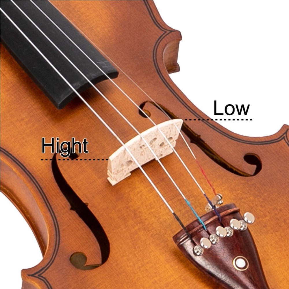 4/4 Solid Spruce Top Acoustic Beginner Violin Set - Shoulder Rest, Tuner, Matte