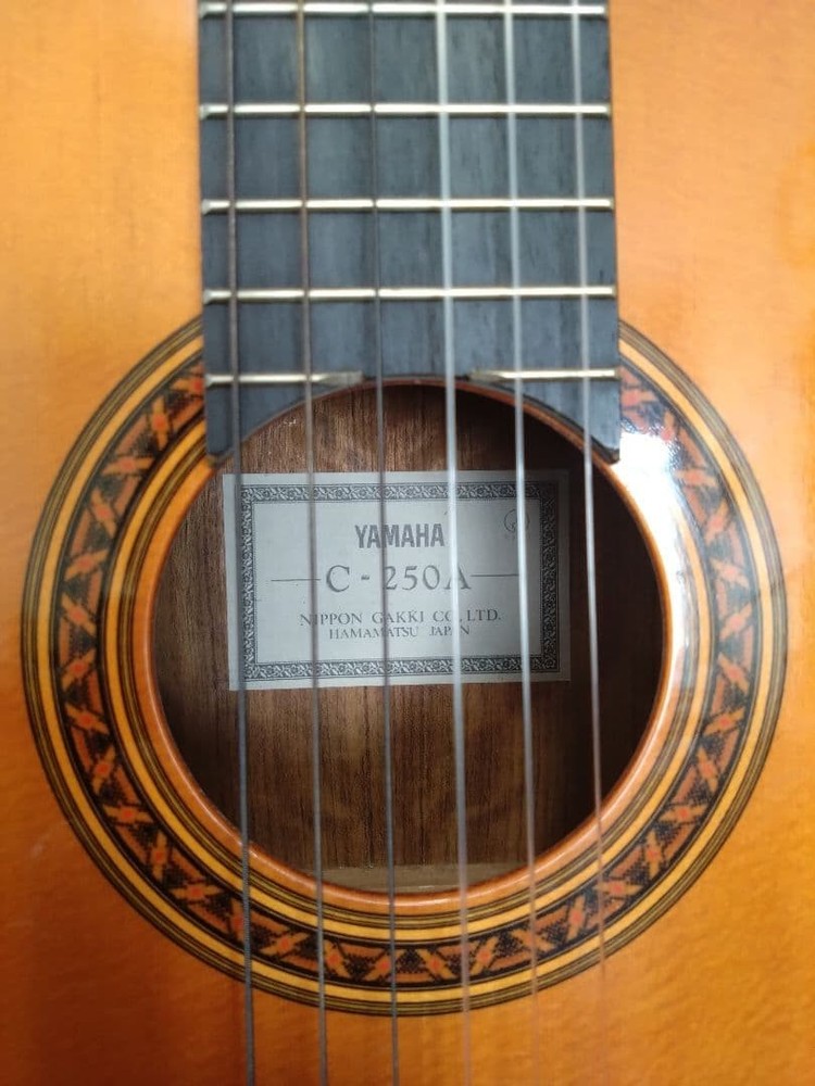 Yamaha Guitar C-250A
