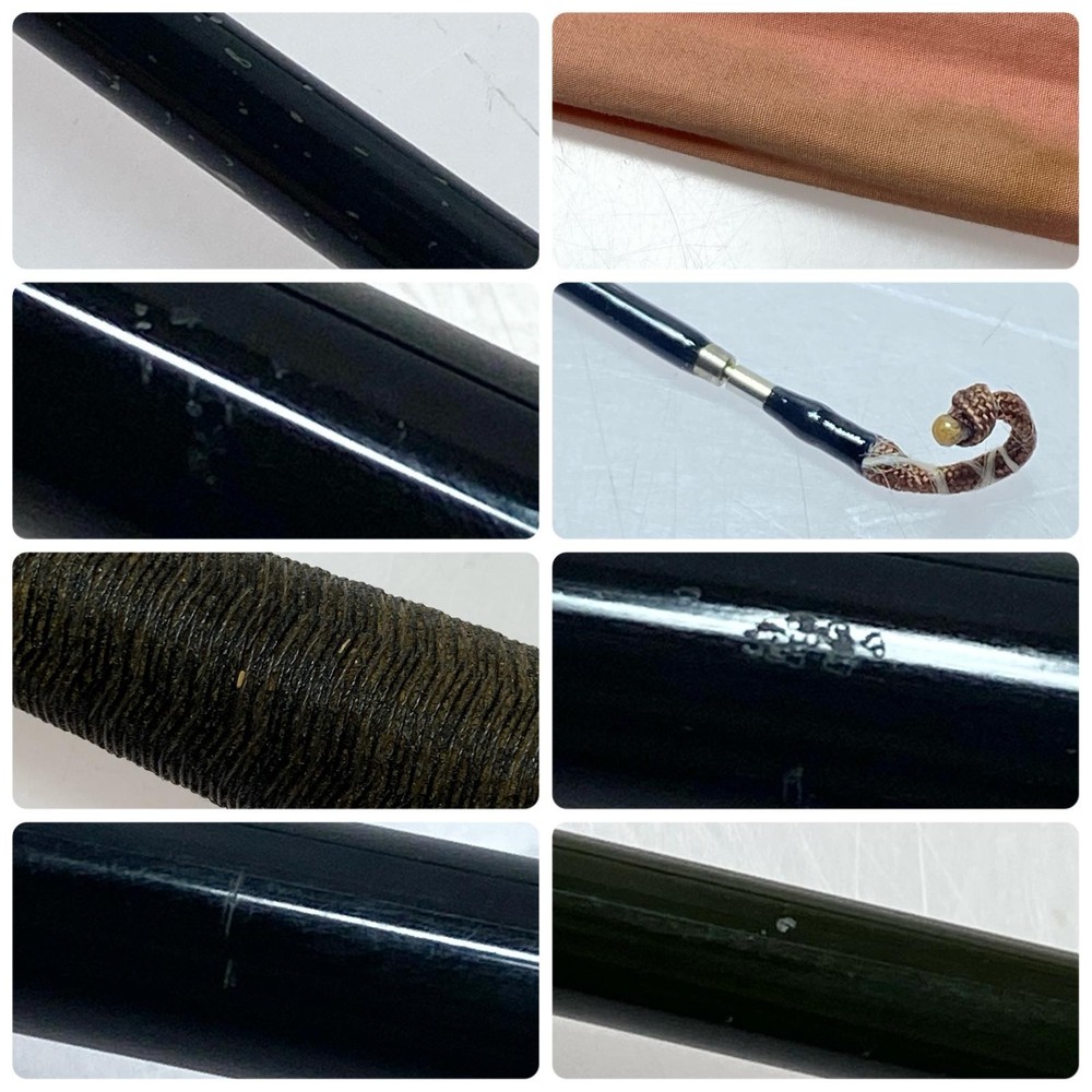 DAIWA Hera rod, Sei, formal, 12, degree B