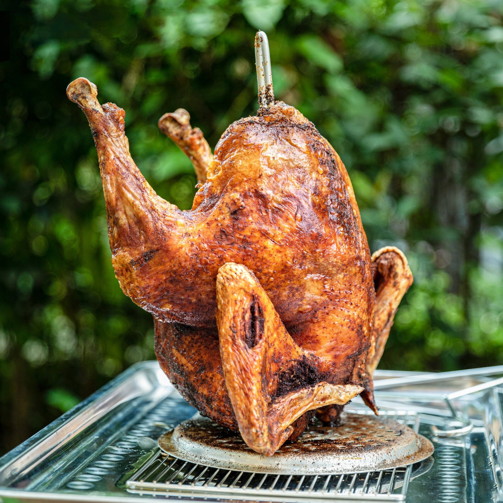 Creole Feast 30 Qt. Turkey Deep Fryer Pot Outdoor BBQ Cooker Thanksgiving Day