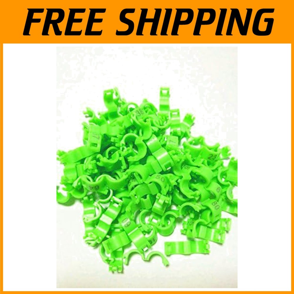 Plastic Bird Rings 3mm Green 100pcs