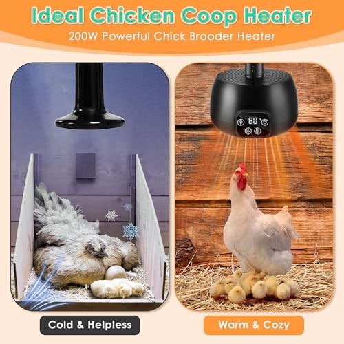 Chicken Coop Heater with LED Lighting, Adjustable Temperature, Timer & 1
