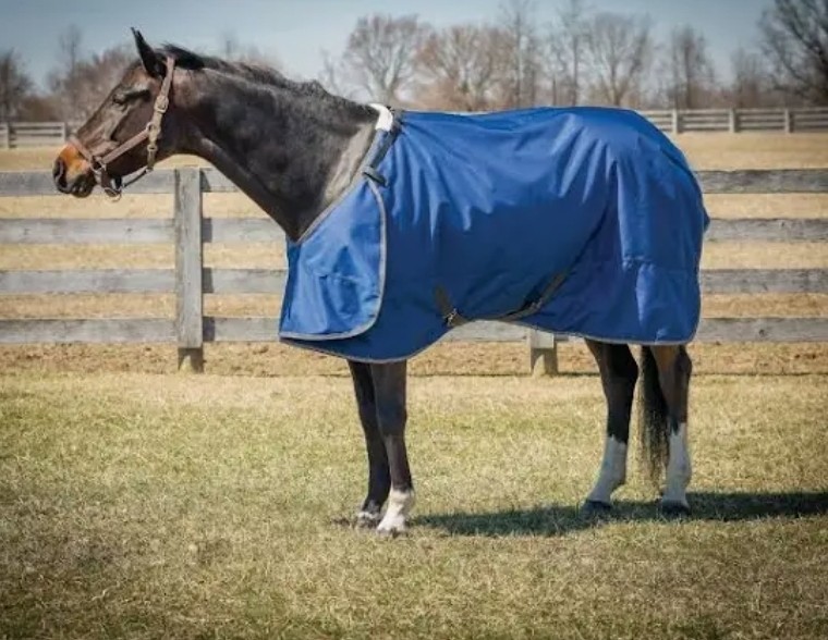 horse blanket 78