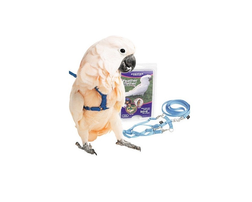 Premier Feather Tether Bird Harness and Leash