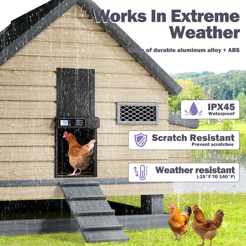 Extra Large Automatic Chicken Coop Door Battery Operated with Timer & LED Screen