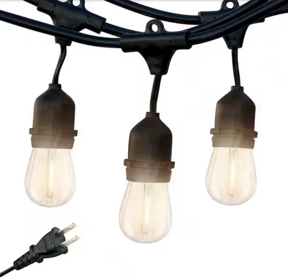 BRIGHTECH Ambience Pro Outdoor 48 ft. LED Edison Bulb Hanging String Light