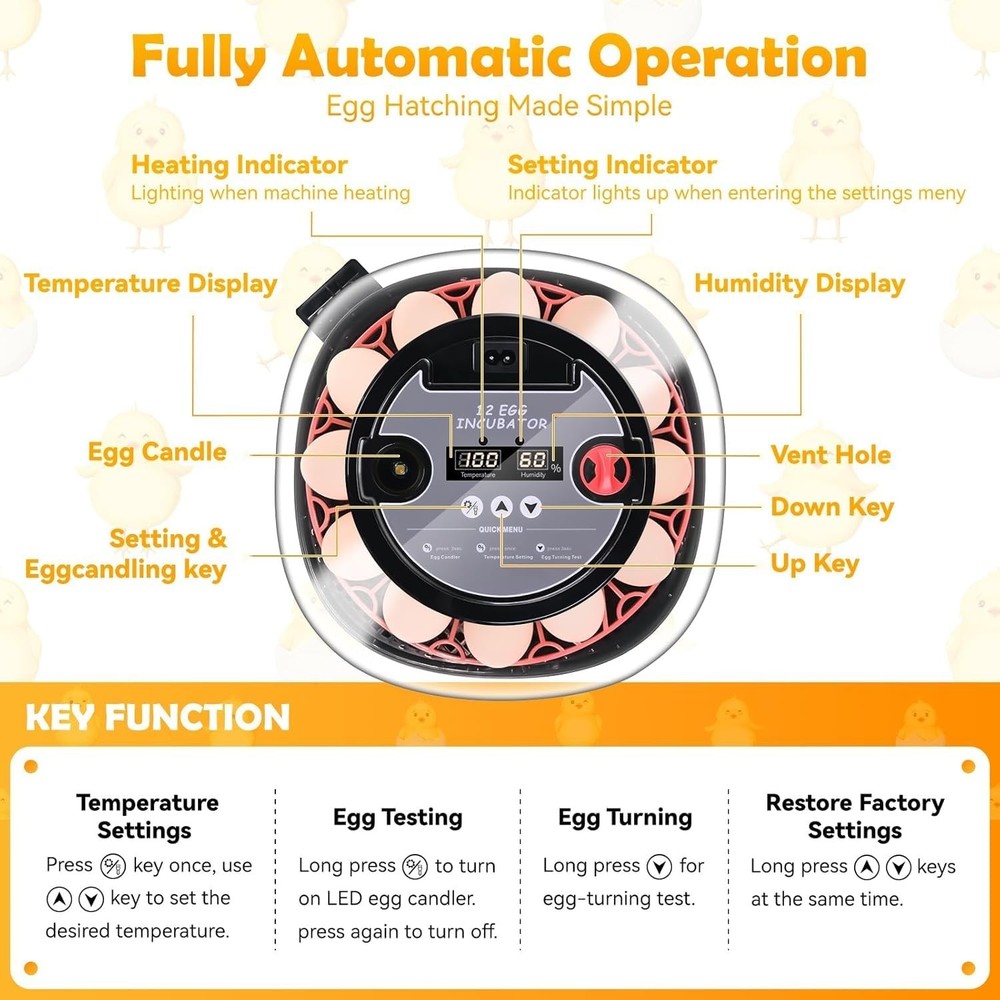 Egg Incubator, Automatic Egg Turner Egg Incubator, Automatic and Adjustable Egg