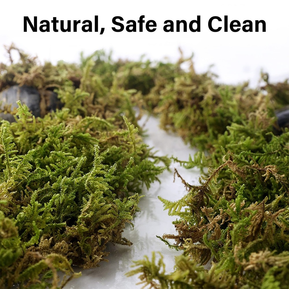 5L Forest Moss For Hamster Bedding Nesting Syrian Gerbil Cage Accessory