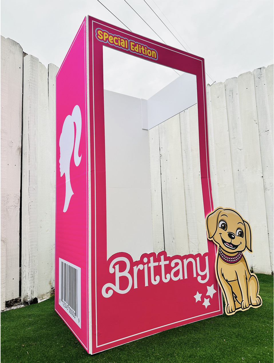 Doll photo booth, popular pink doll, birthday girls, barbie inspiration