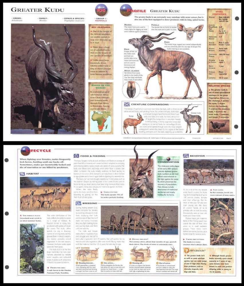 Fold-Out Sheet - Greater Kudu - 106