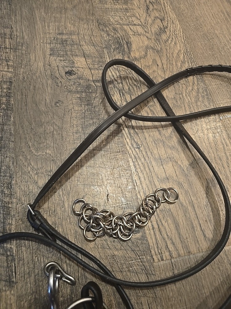 Horse Bit With Reins