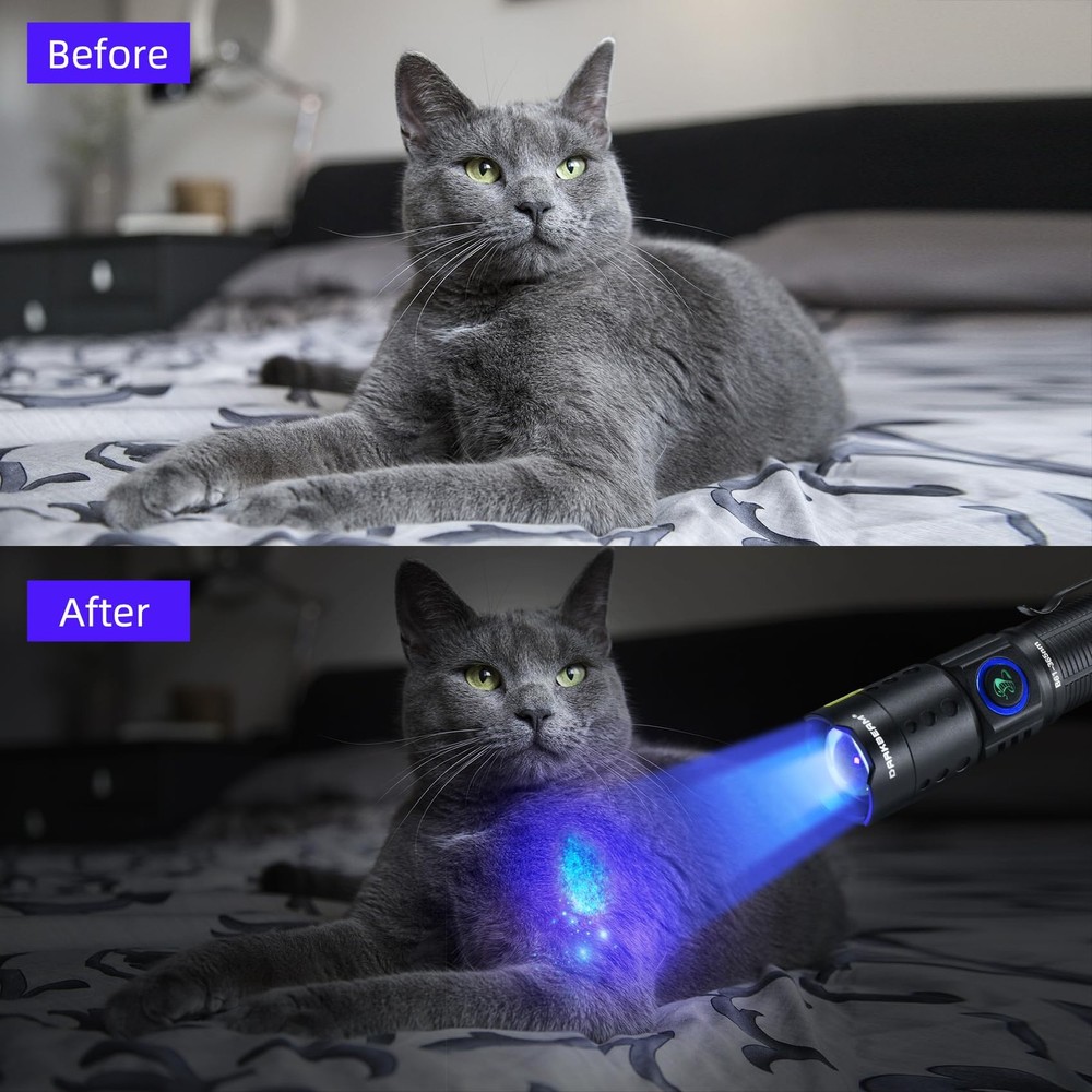 UV 365nm Flashlight Black Light LED Ultraviolet Flashlight Powerful Rechargeable