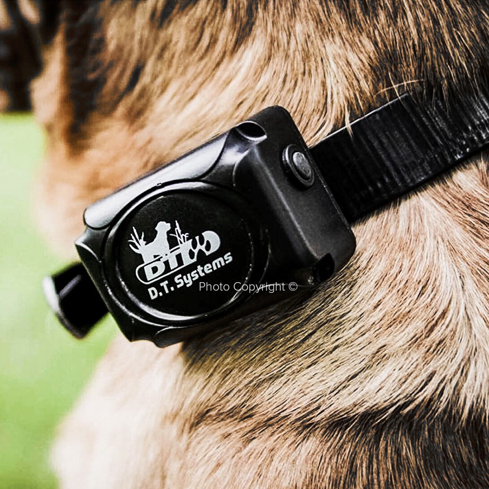 DT Systems H2O 1820 PLUS Expandable Dog Remote Trainer