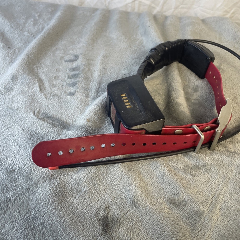 Garmin TT15 GPS Dog Tracking Collar