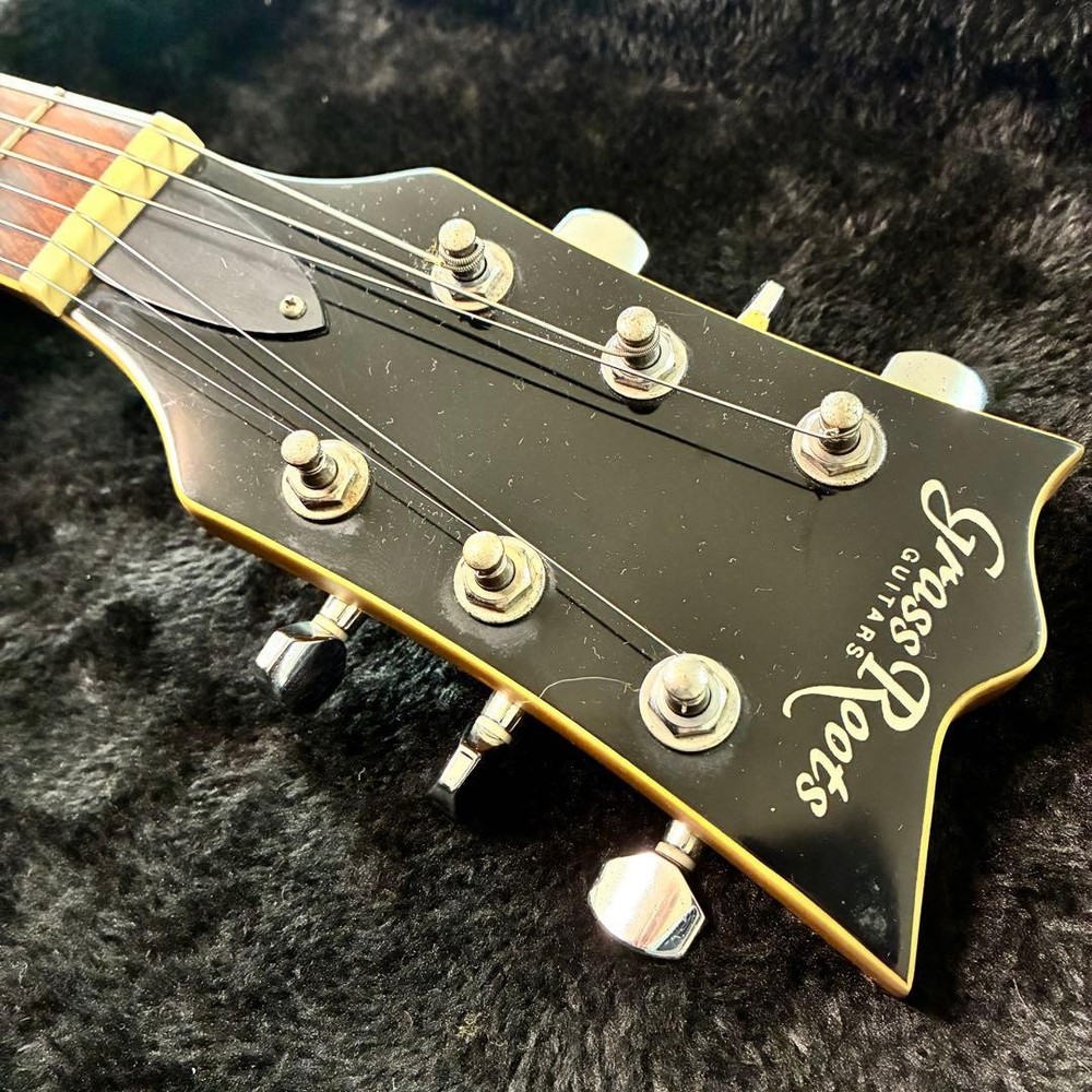 Model Grassroots by ESP Grassroots Viper Safe Packing!