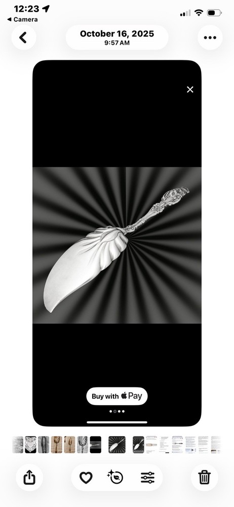 Antique 1902 Large Sterling Solid Fish Serving Knife Lily Pattern, 12 1/8”