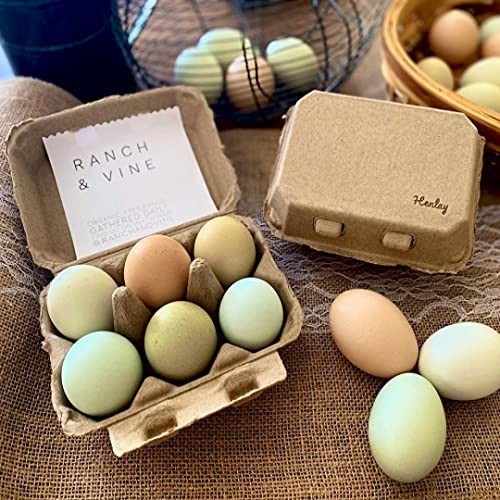 Blank Half-Dozen Egg Cartons Recyclable Pulp 100 Pack