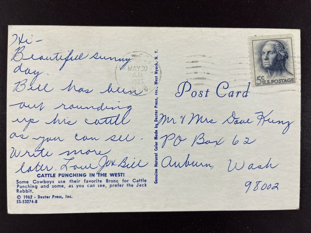 Cattle Punching on a Jack Rabbit 1965