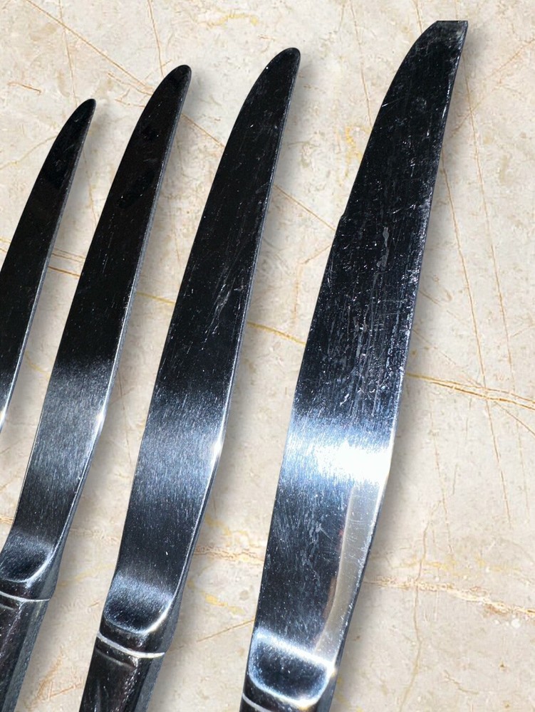 Oneida CALLA LILY complete stainless Knives